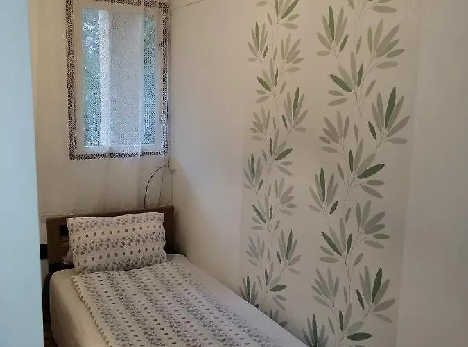 Aranypart 2 ホームステイ